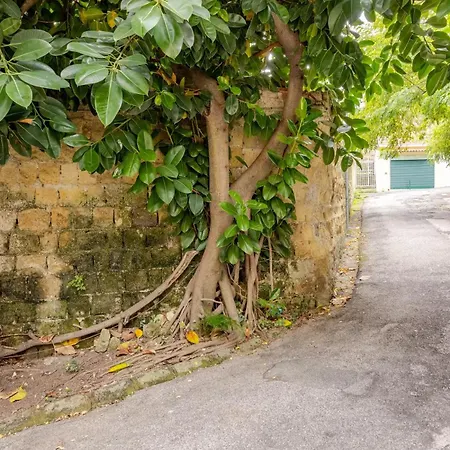 Crispi 74.1 - * Naples